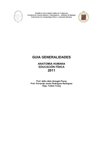 artrologia generalidades 2011 - Pontificia Universidad Católica de
