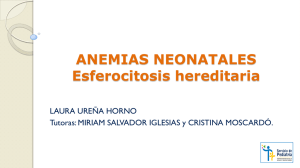 ESFEROCITOSIS HEREDITARIA. Diagnóstico diferencial y estudio
