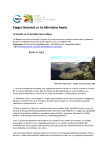 Parque Nacional de las Montañas Azules