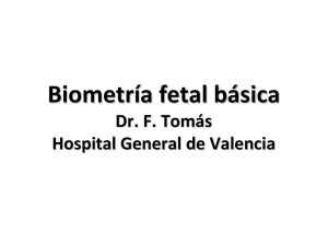 Biometría fetal básica