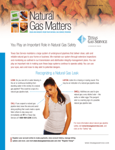 You Play an Important Role in Natural Gas Safety Recognizing a