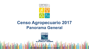 Censo agropecuario 2017. Panorama General