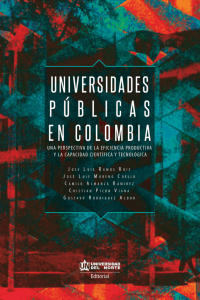 Universidades públicas en Colombia : una perspectiva de la