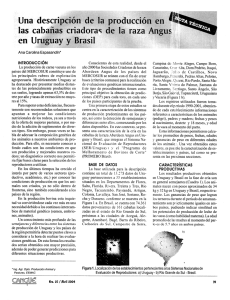 Page 1 Ana Carolina Espasandín” INTRODUCCIÓN La producción