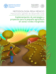 Metodología pesa México: Manual para agentes de desarrollo rural