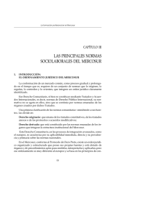 3. Las principales normas sociolaborales del Mercosur