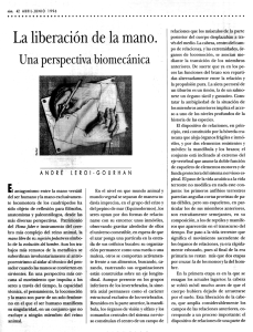 La liberación de la mano. Una perspectiva biomecánica - E