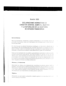 Normas y Procedimientos de Auditoria