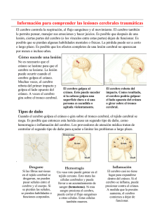 Información para comprender las lesiones cerebrales traumáticas
