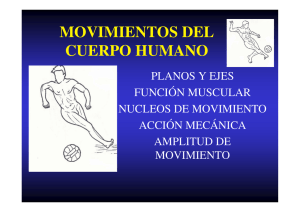 movimientos del cuerpo humano