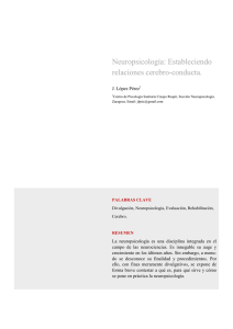 Neuropsicología: Estableciendo relaciones cerebro