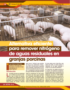 granjas porcinas Alternativa eficiente para remover nitrógeno de