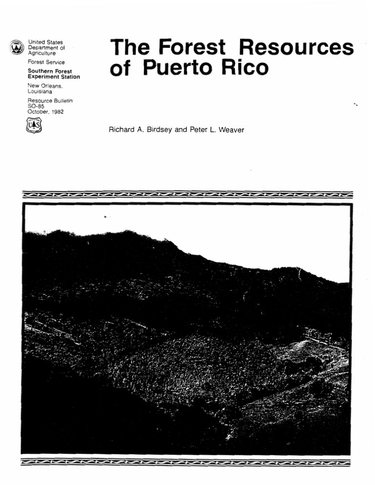 The Forest Resources of Puerto Rico
