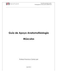 Guía de Apoyo Anatomofisiología Músculos