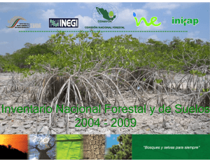 Inventario Nacional Forestal y de Suelos 2004