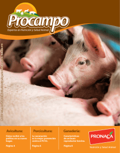 Ganadería: Porcicultura: Avicultura: