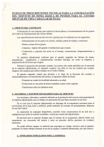DEL SERVICIO DE DOMA BASICA DE POTROS PARA EL CENTRO
