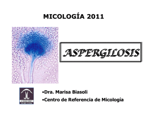 Presentacion Aspergilosis 2011-imprimir