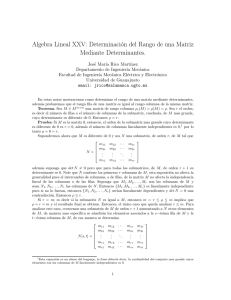 Algebra Lineal XXV: Determinación del Rango de una Matriz