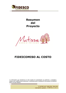 Resumen del proyecto Barrio Privado Matisse_03