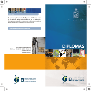 En forma complementaria a los Diplomas, el IEI realiza cursos en