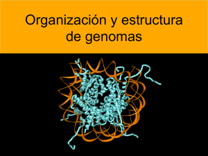 Organización y estructura de genomas