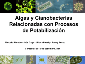 Algas y cianobacterias relacionadas con procesos de
