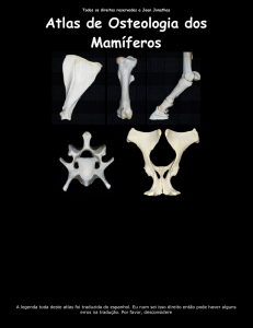 Atlas de Osteologia dos Mamíferos