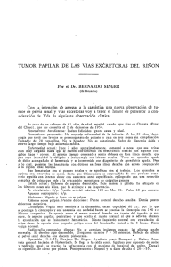 tumor papilar de las vias excretoras del riñon