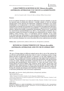 CaraCterístiCas BotÁniCas de Tithonia diversifolia (asterales