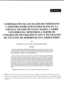 comparación de los flujos de nitrógeno