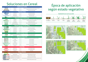 Época de aplicación según estado vegetativo Soluciones en Cereal