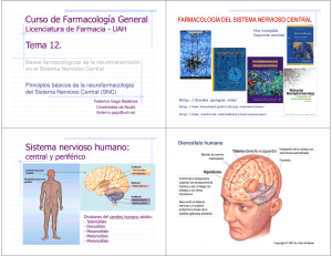 Curso de Farmacología General Tema 12. Sistema nervioso humano: