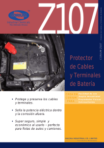Protector de Cables y Terminales de Batería