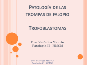 Trompa uterina - Bienvenidos a la web de la Cátedra de Patología II