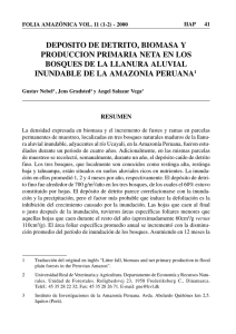 deposito de detrito, biomasa y produccion primaria neta en los