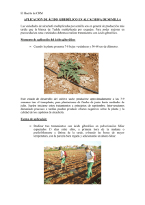 Boletín nº 32. Aplicación de ácido giberélico en alcachofa de semilla