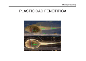 PLASTICIDAD FENOTIPICA