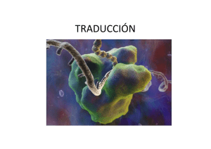 TRADUCCIÓN [Modo de compatibilidad]