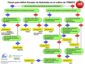 Escasez de nutrientes en Tomate (PDF/400KB)