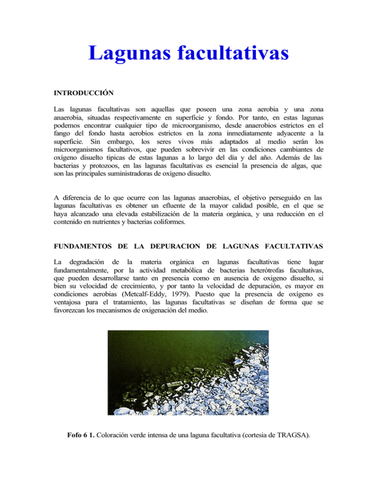 Lagunas Facultativas - Centro De Investigación Y Desarrollo