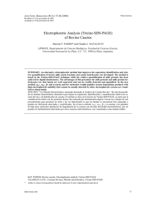 Electrophoretic Analysis (Tricine-SDS