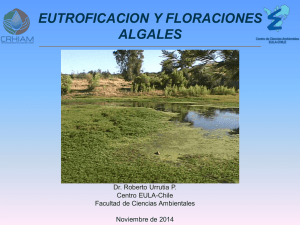 Eutroficación y floraciones algales