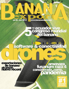 Uso de Drones en Mercado Bananero