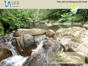 Poza del río Estepona
