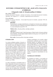 estudio citogenético de alouatta palliata (cebidae)