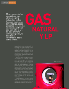 60-63 gas LP y Natural OKMM
