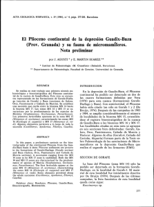 El Plioceno continental de la depresión Guadix-Baza (Prov
