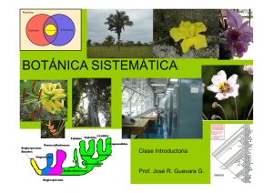 botánica sistemática - Web del Profesor