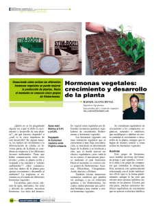 Hormonas vegetales: crecimiento y desarrollo de la planta